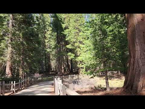 Kings Canyon National Park May 7 2024