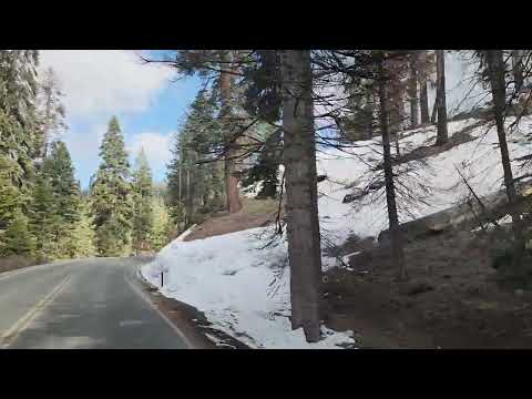 Sequoia National forest May 2024