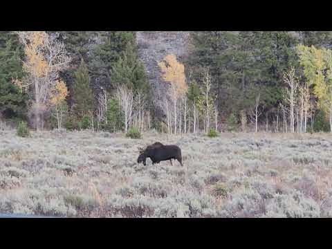 Just another day in Wyoming