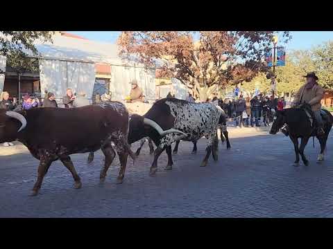 Fort Worth Stockyard Texas Jan 8 2025