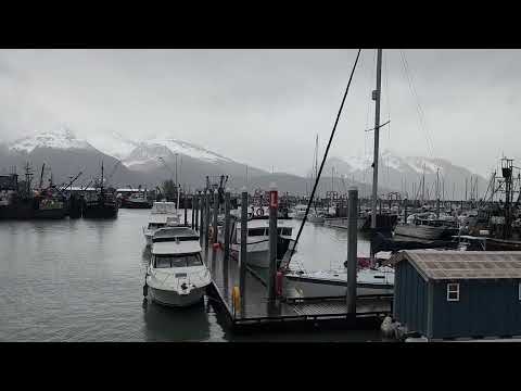 Seward Alaska harbor