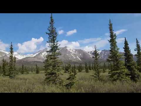 Healy Alaska June 12 2026