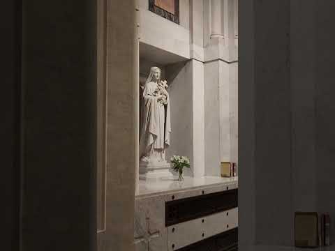 Cathedral Basilica of St Louis Sept 12 2026