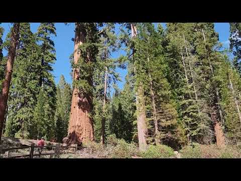 Kings Canyon May 2024