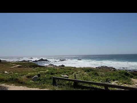 Coast of Maine May 2025