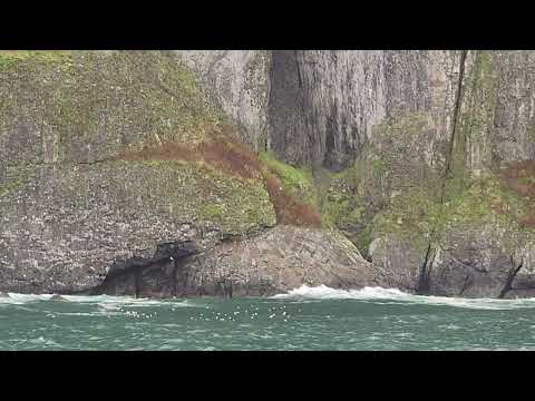 Boat tour Seward 2026