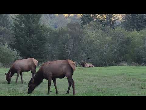 Orick California Sept 25 2024