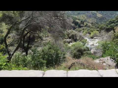 Sequoia National Park May 2024