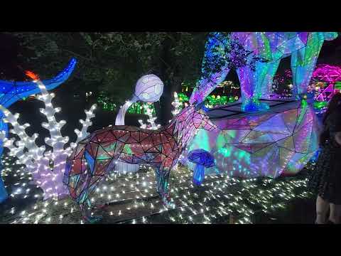 Lanterns