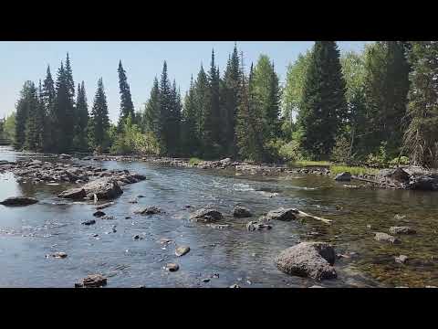 Yellowstone National Park Sept 3 2025
