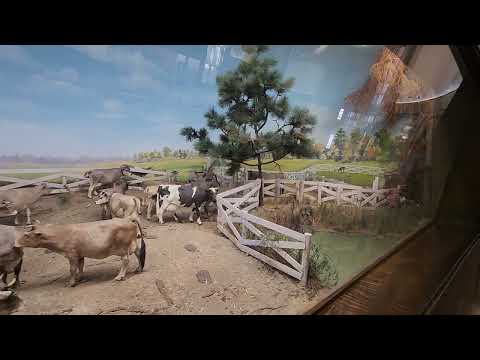 Diorama in Louisiana State Exhibit museum Shreveport