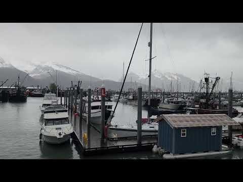 Seward Harbour getting ready for our boat tour June 2026