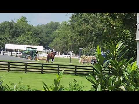 Kentucky Horse Park July 2026