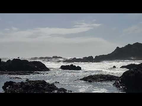 Newport Oregon Sept 27 2024