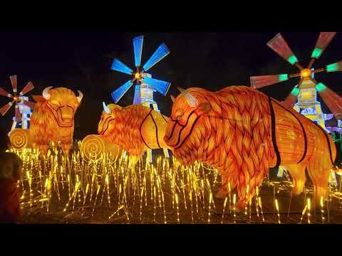 Buffalo on the Prarie lanterns Denver