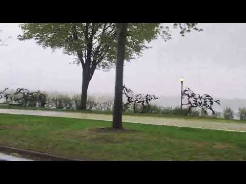 Quebec Horse sculptures