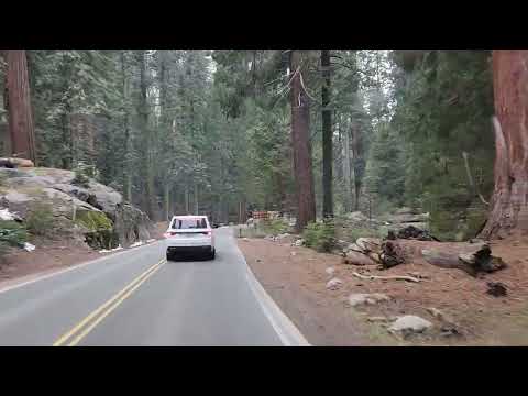 Sequoia National Park May 2024