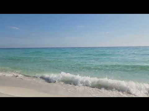 Miramar Florida Feb 9 2026