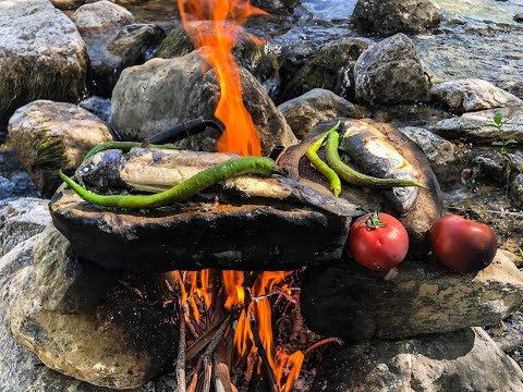 Alabalık ve Sazan sıradışı yemek kültürü Doğada kamp ve