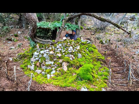 Preparing a shelter therapy environment and peaceful