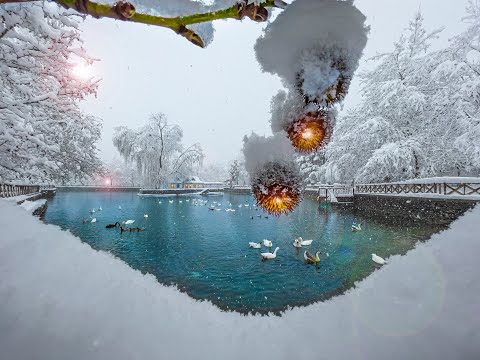 Kuğulu Tabiat Parkı 2022 KIŞ Terapi Meditasyon