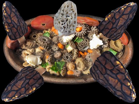 Kuzu Göbeği toplama ve yeme kültürü Morel Mushroom Eating