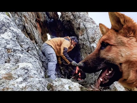 Building a shelter in a cave with my dog and protection