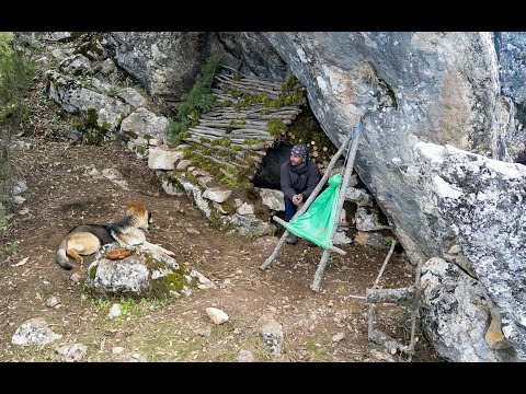 Having fun under the rock with my dog Survival Bushcraft