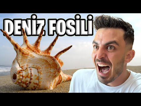 OKYANUSUN KENARINDA FOSİL TOPLADIM