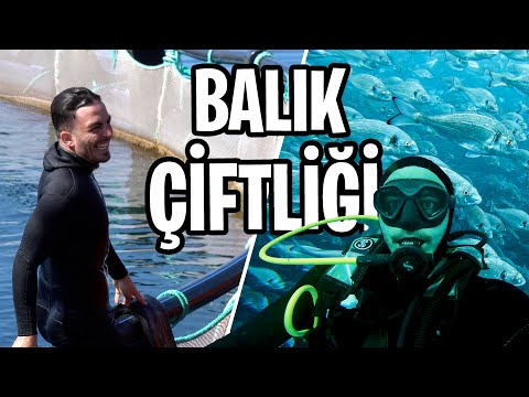 BALIK ÇİFTLİĞİNE DALDIM EFSANE VİDEO