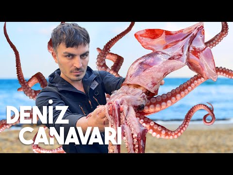 DENİZDEN UZAYLI YARATIK YAKALADIK