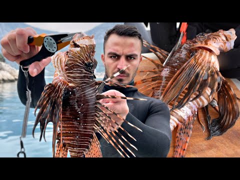 DÜNYANIN EN ZEHİRLİ BALIĞINI YEDİM ASLAN BALIĞI