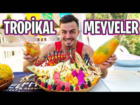 İLGİNÇ TROPİKAL MEYVELERİ DENEDİM