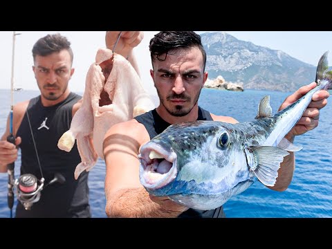 CANAVAR BALON BALIKLARINA TAVUK YEDİRDİM