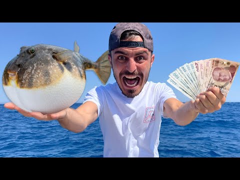 BALON BALIĞI YAKALAYARAK ZENGİN OLDUM HER BALIK 5 TL