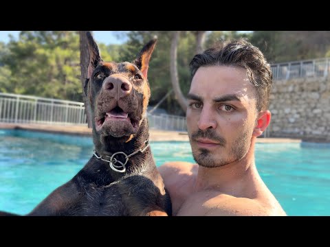 DOBERMAN EĞİTMENİ OLDUM