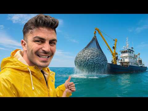 Gemiyle Tonlarca Balık Yakaladık Karadeniz Macerası