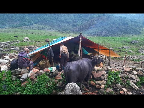 Mountain Village Life Nepal Rain Day in Mountain Village
