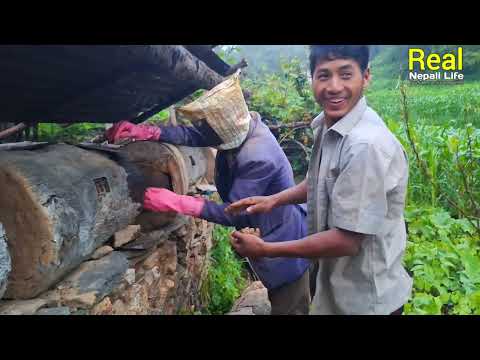 Traditional Honey Hunting in Nepali Village style Real