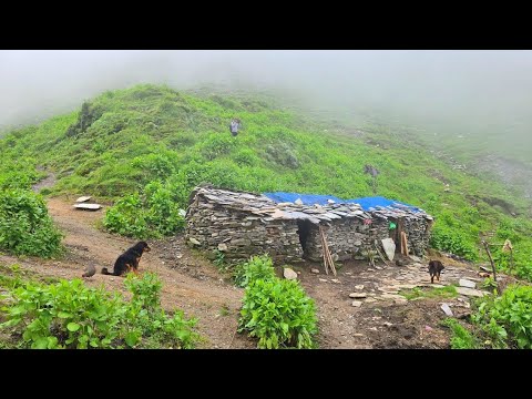 Most Peaceful Nepali Mountain Village Lifestyle Organic