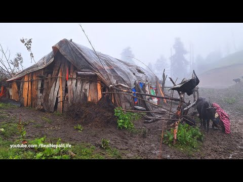 Rainy day Village Rainy Season Village Life Rainy day Rural