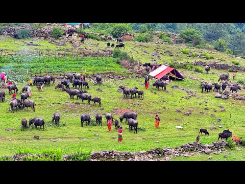 Most Peaceful And Relaxing Mountain Village Lifestyle