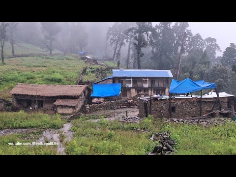Organic Nepali Mountain Village Life Nomadic Life Routine