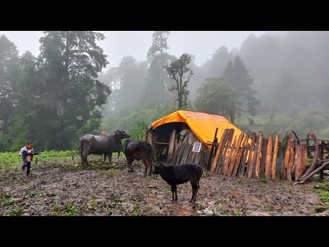 Nepali Mountain Village Life Nepal Mountain People Life