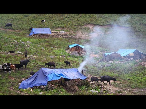 Naturally Peaceful And Relaxing Nepali Mountain Village