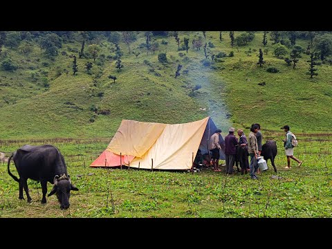 Most Relaxing Himalayan Village Life Daily Activities Of