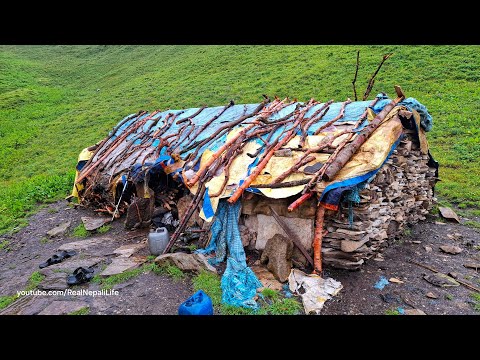 Beautiful Nepali Mountain Village Life Rainy Day in Jiree