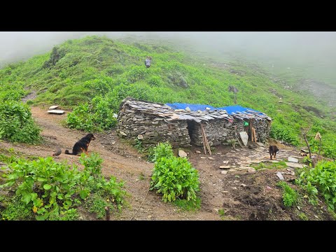 Best Life in A Himalayan Village During the Rainy Time Most