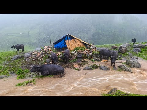 This is Himalayan Nepali Mountain Village Life During the