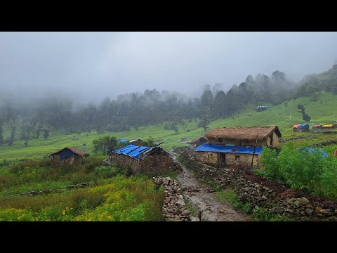 Nepali Mountain Village Life Nepal Daily Work of Village